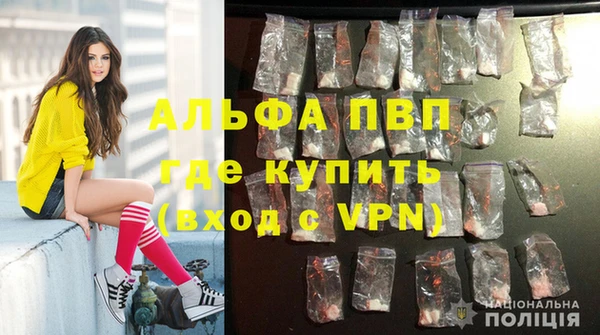 Альфа ПВП Беломорск