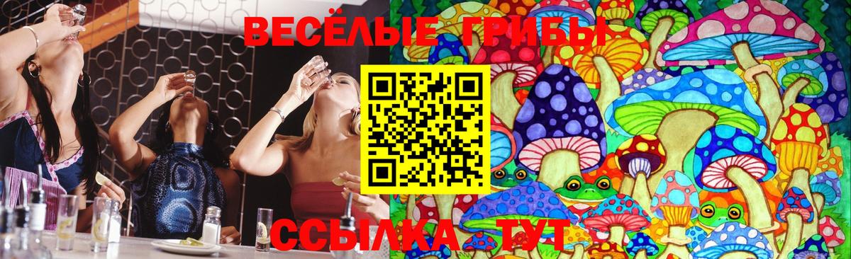 Галлюциногенные грибы Magic Shrooms Добрянка