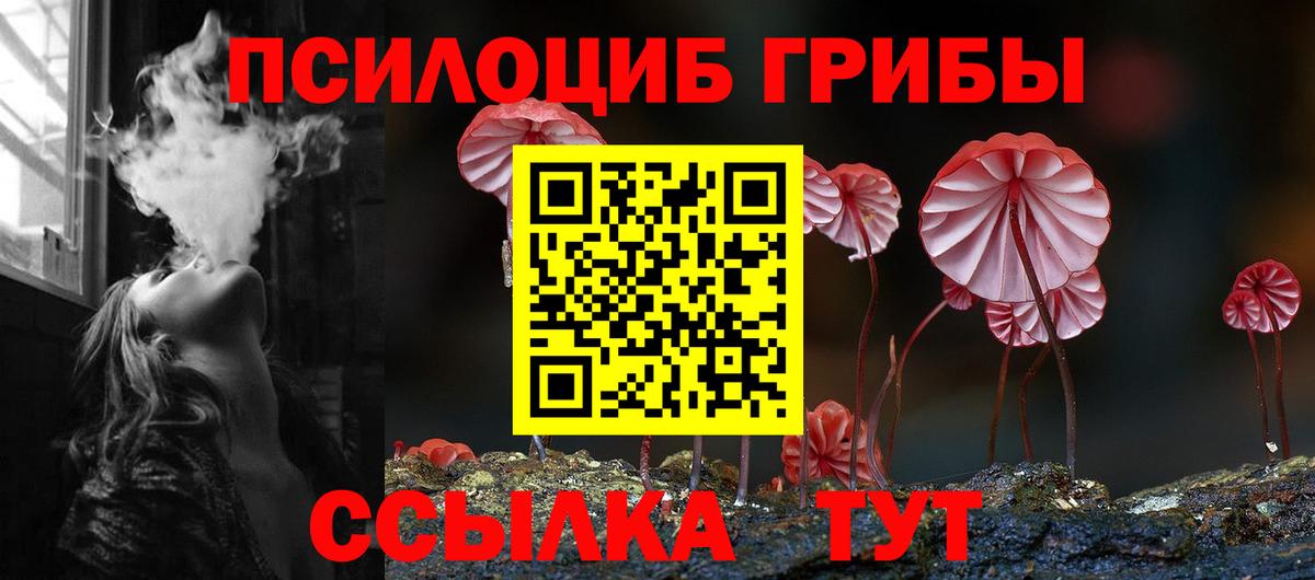 Добрянка  Галлюциногенные грибы Cubensis  закладки  Вход с VPN  Псилоцибиновые грибы мицелий 